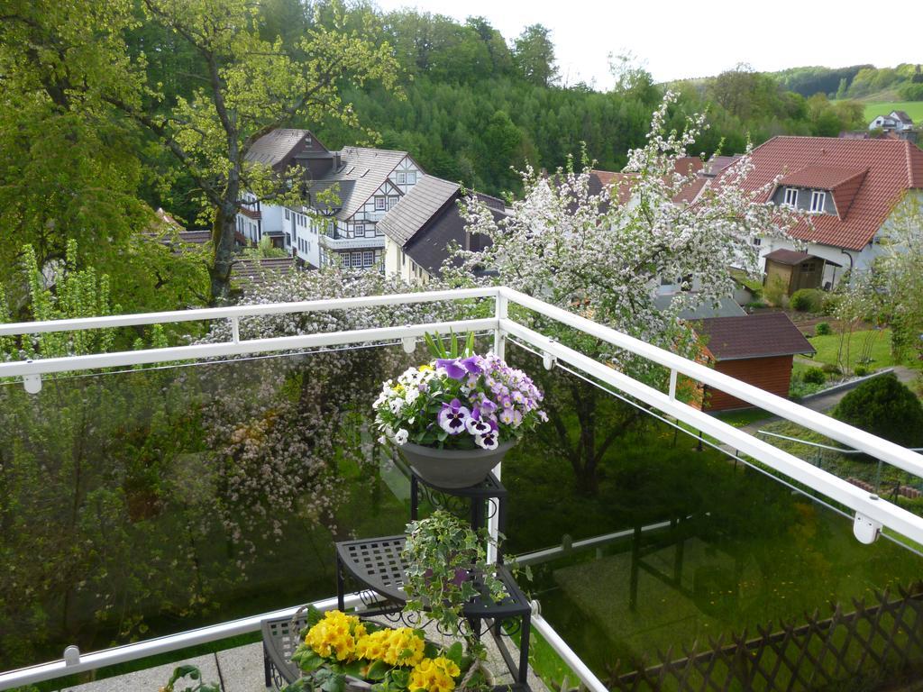 Ferienwohnung Dommes Fuhrbach Экстерьер фото